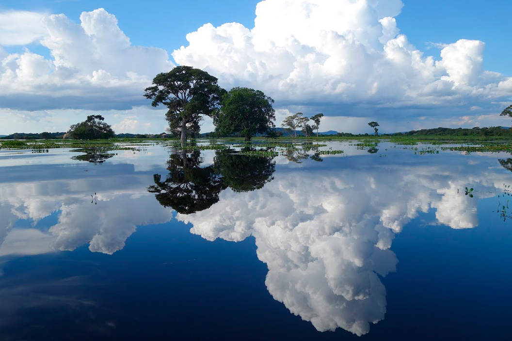 Imagem Pantanal
